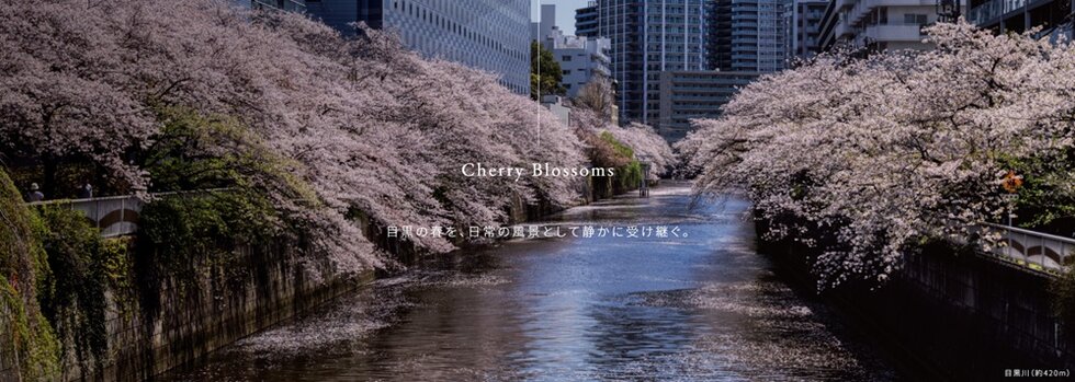リビオ目黒三丁目