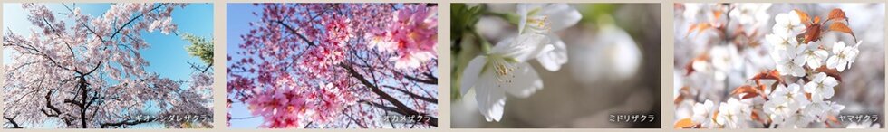 リビオ目黒三丁目