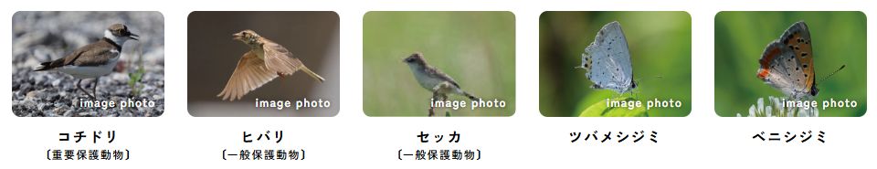 船橋山手レジデンス