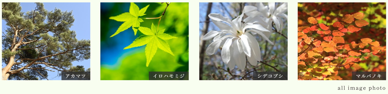 ルジェンテ中野
