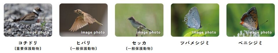 船橋山手レジデンス