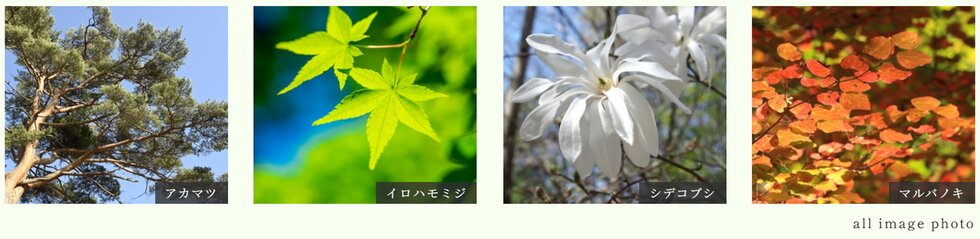 ルジェンテ中野