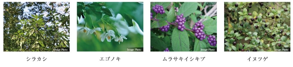ドルフィーノ浦和高砂