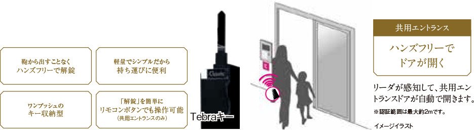 Tebraキー