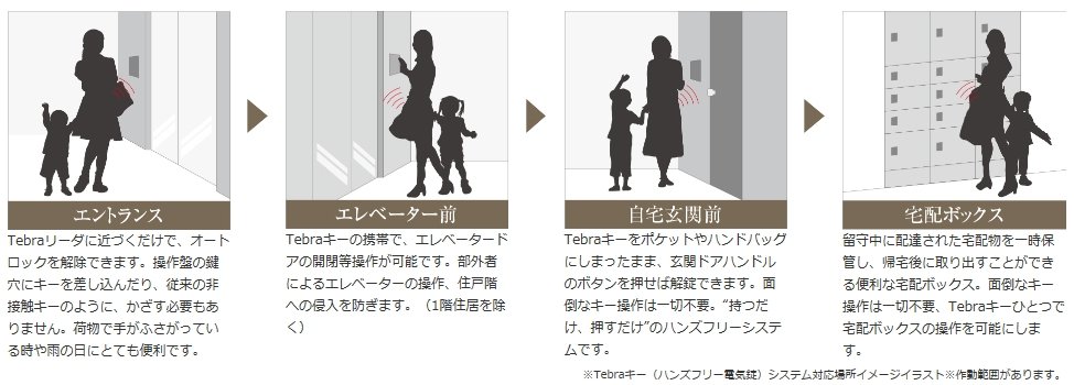 Tebraシステム
