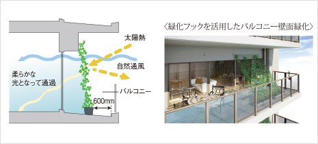 バルコニーの壁面に緑化対策
