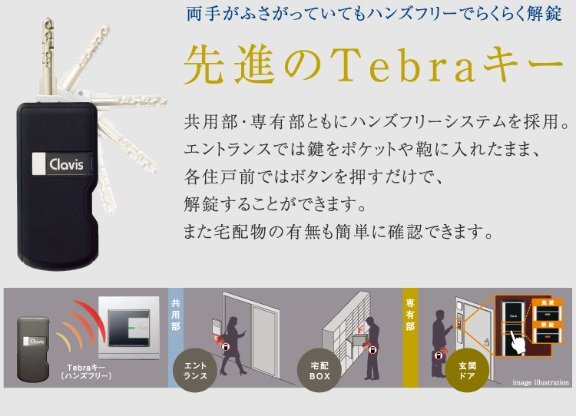 両手がふさがっていてもハンズフリーでらくらく解錠
先進のTebraキー