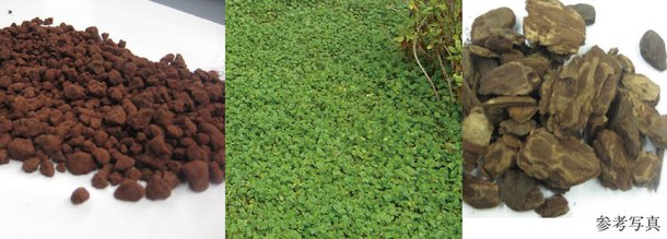 雑草の発生及び除去処理の低減に配慮した植栽計画