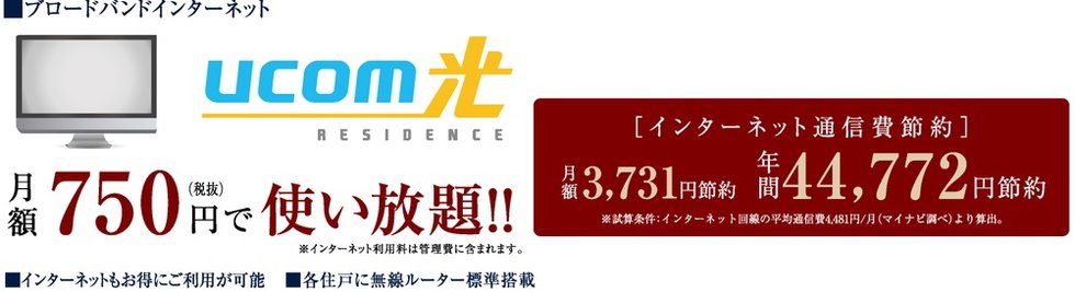 ブロードバンドインターネット