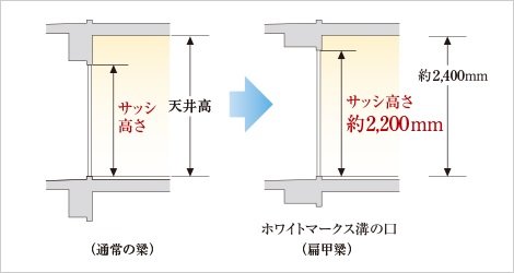 明るく開放的なハイサッシ