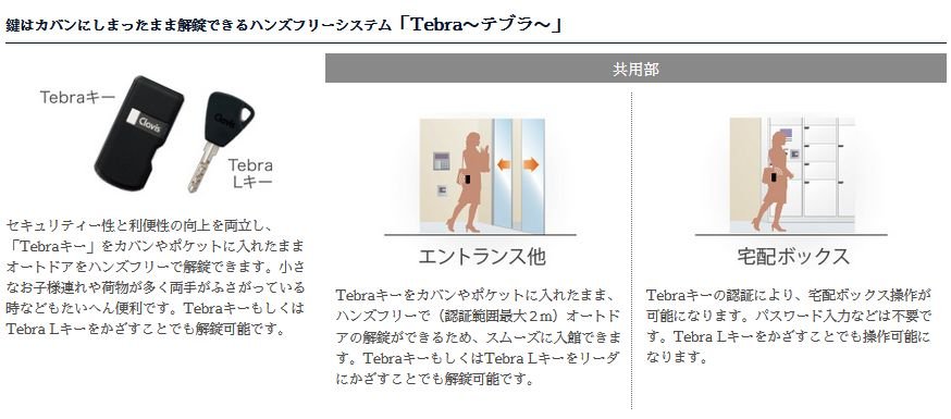 「Tebra~テブラ~」