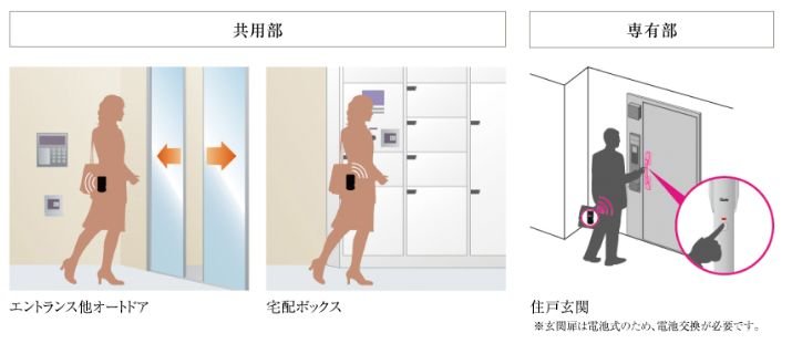 「Tebraシステム」採用