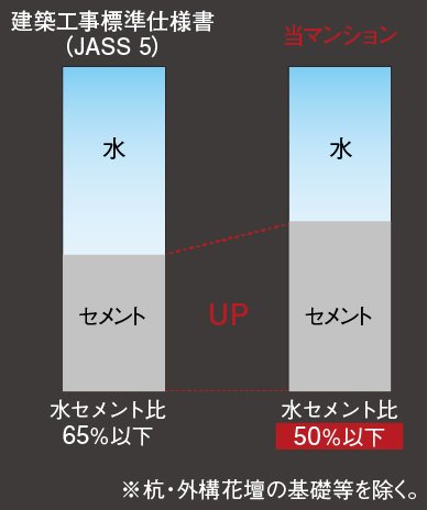 水セメント比