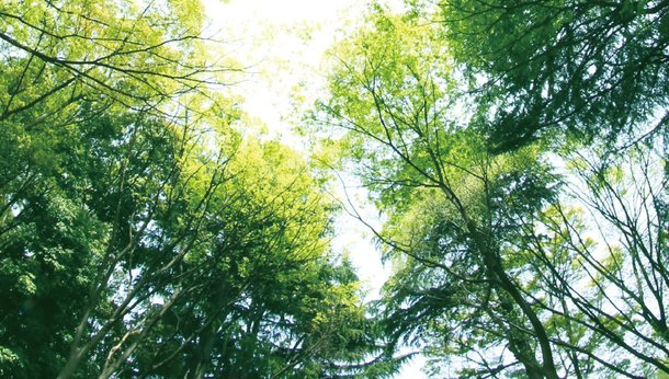 家庭からのCO2排出量を大幅に削減