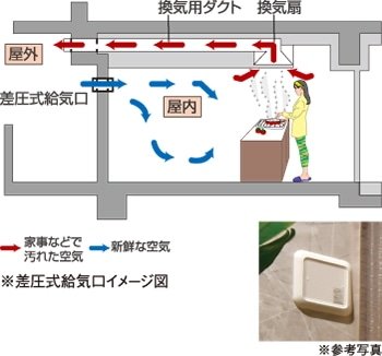 ソース画像を表示