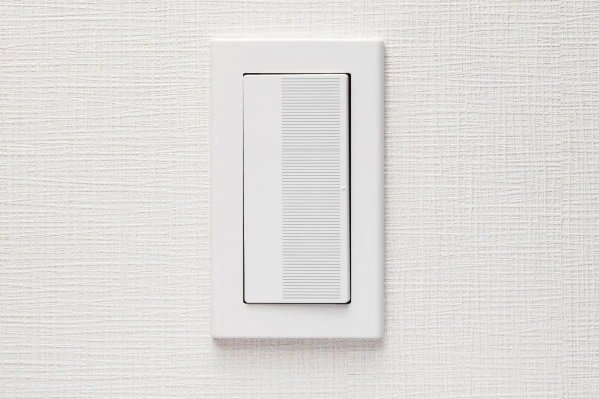 大型プレートスイッチ