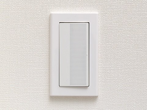 大型プレートスイッチ