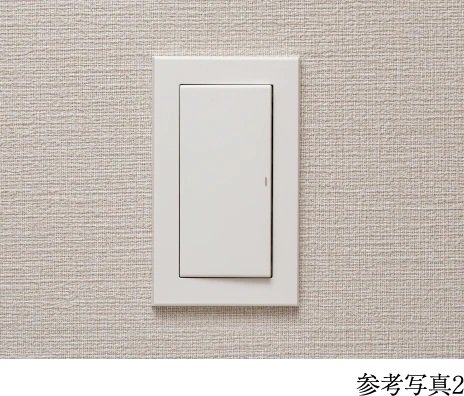 大型プレートスイッチ