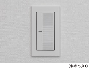 大型プレートスイッチ