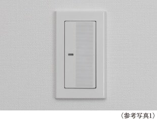 大型プレートスイッチ