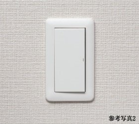 大型プレートスイッチ