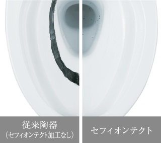 セフィオンテクト(参考写真)