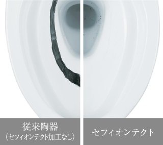 セフィオンテクト(参考写真)