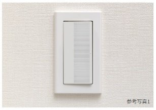 大型プレートスイッチ