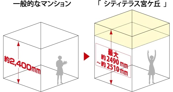 最大約2490mm～約2510mmの天井高（リビング・ダイニング）