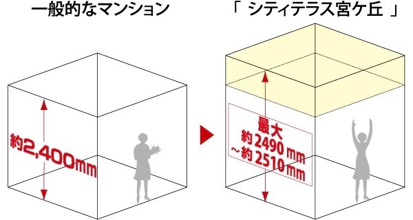 最大約2490mm～約2510mmの天井高（リビング・ダイニング）