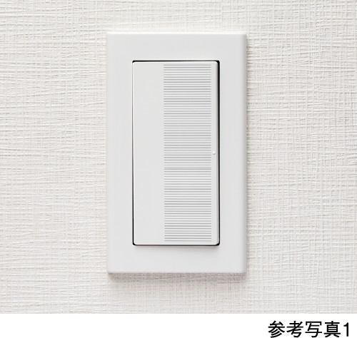 大型プレートスイッチ