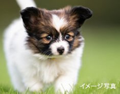 多目的足洗い場