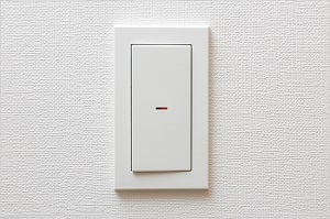 大型プレートスイッチ