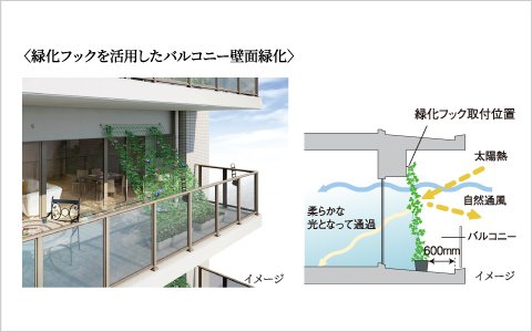 バルコニーの壁面に緑化対策