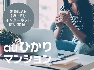 auひかりの光ファイバーネットワーク