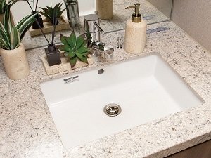 ボウル一体型カウンター