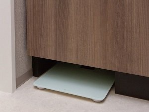 ヘルスメーター収納スペース
