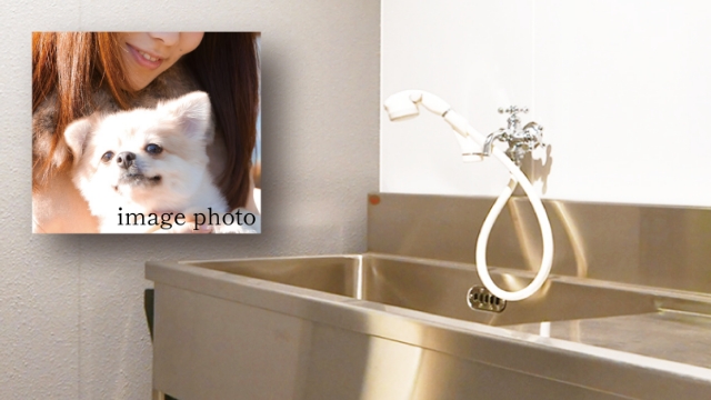 ペット飼育※とペット足洗い場