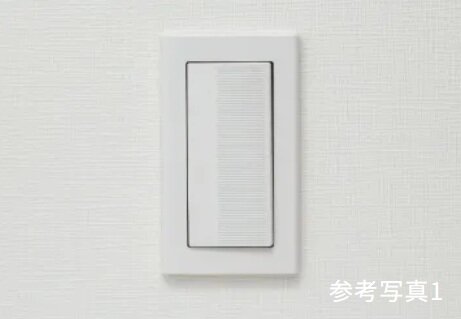 大型プレートスイッチ