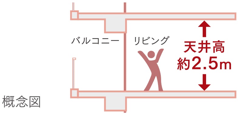 天井高約2.5m