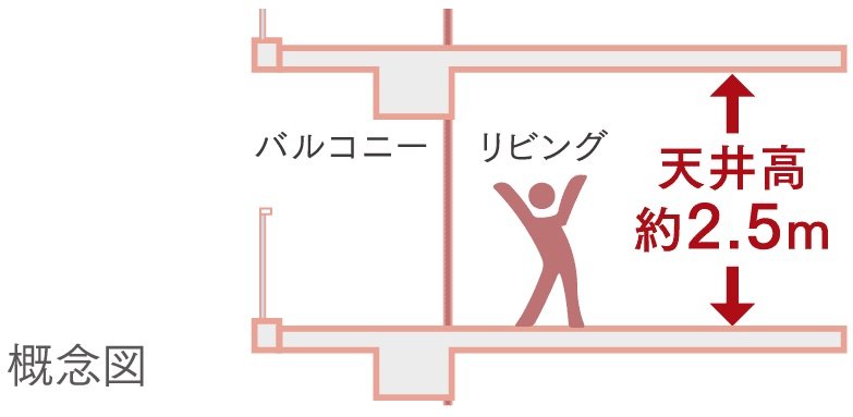 天井高約2.5m