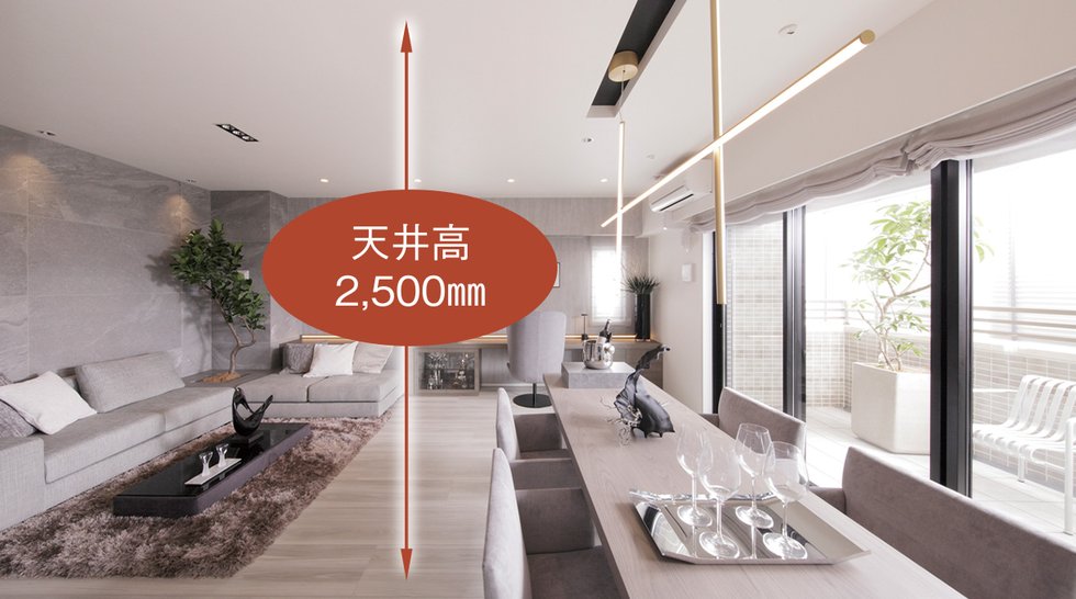 天井高2,500mm（リビング窓センターオープンサッシ採用）