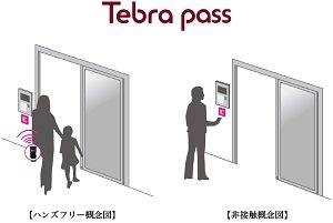 Tebra Pass