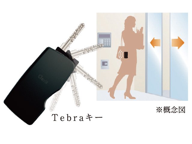 Tebraキー〈オプション〉