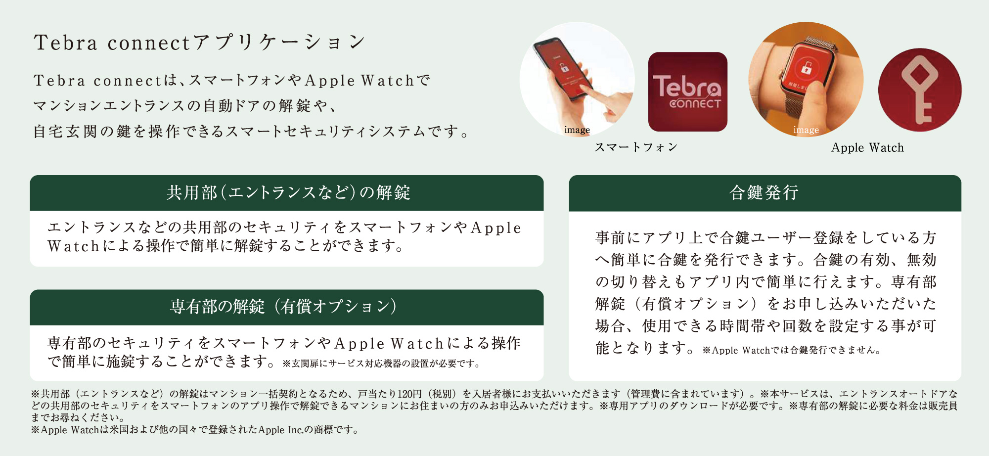 Tebra connect アプリケーション