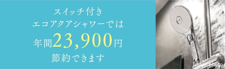 スイッチ付きエコアクアシャワー