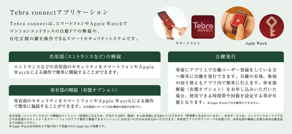 Tebra connect アプリケーション