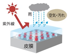 アルミサッシの耐候性向上
