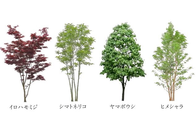 エントランスアプローチ