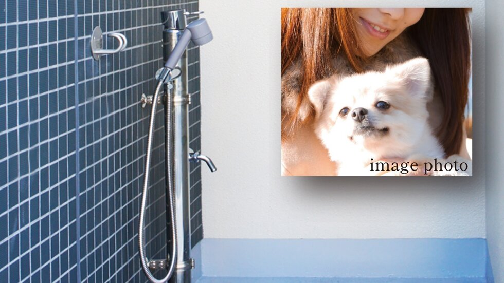 ペット飼育※とペット足洗い場